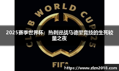 2025赛季世界杯：热刺迎战马德里竞技的生死较量之夜